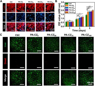 Evaluation of antibacterial and osteogenic properties of a novel Poly (acrylic acid)-calcium-zinc biomineralized hydrogel